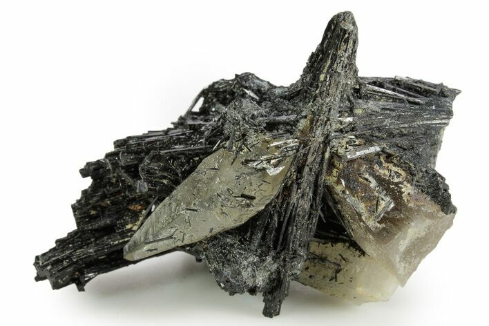 Black Tourmaline (Schorl) Crystal Cluster with Quartz - Namibia #363666